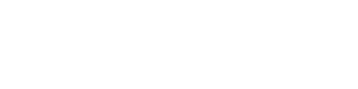 Un tram per Bologna